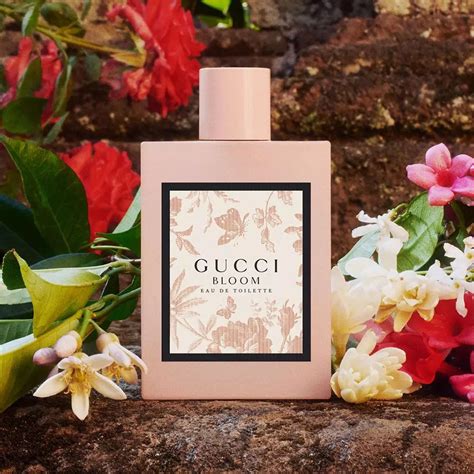 what is the smell of gucci bloom|gucci bloom fragrantica.